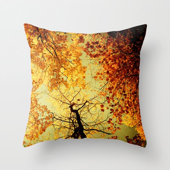 We Are Starlight, We Are Golden Throw Pillow