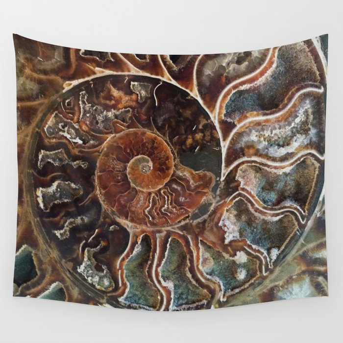 Fossilized Shell Wall Tapestry