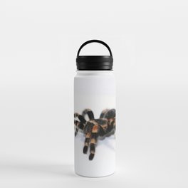 Tarantula Water Bottle
