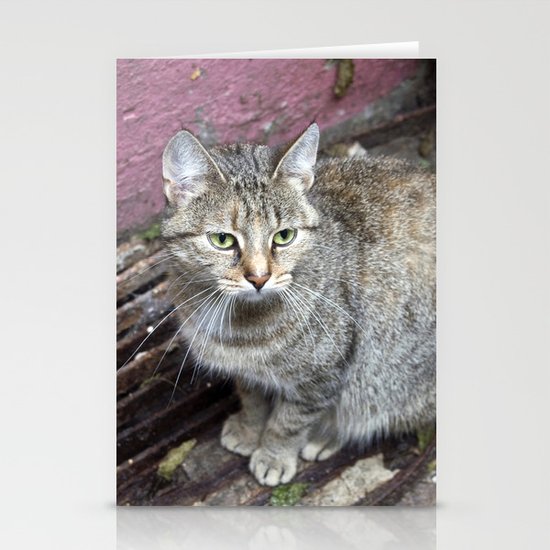 TIGERCAT of BERLIN Stationery Cards