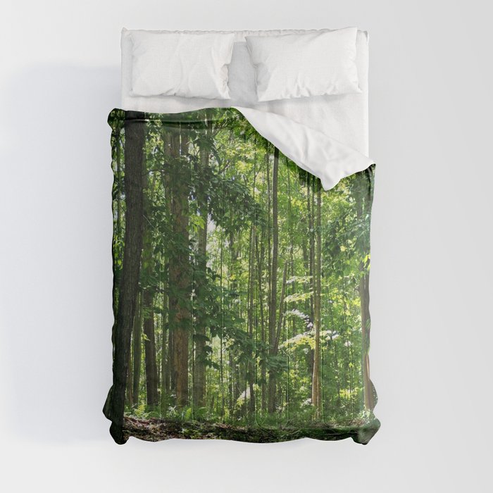Pine tree woods Comforter