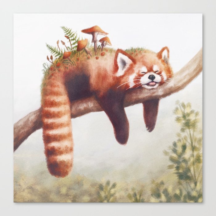 Sleepy Red Panda Canvas Print