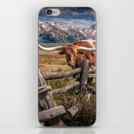 Texas Longhorn Steer with Wood Log Fence in Wyoming Pasture iPhone Skin