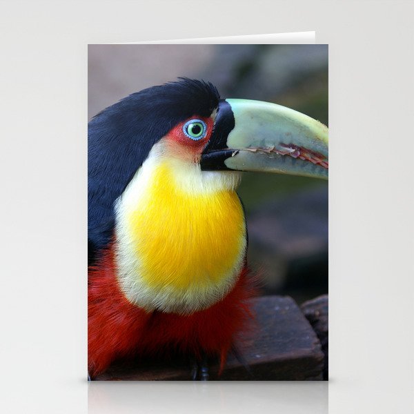 Brazil Photography - Wonderful Green-Billed Toucan Stationery Cards