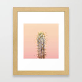 blue cactus with pink background sunset Framed Art Print