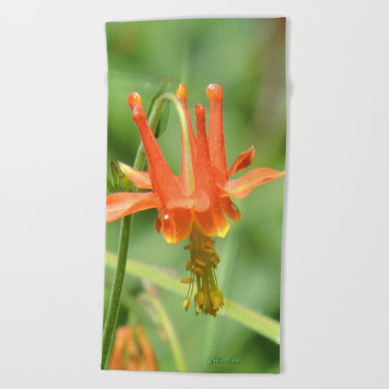 Columbine in the Breeze Beach Towel