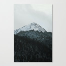Tree Line Canvas Print