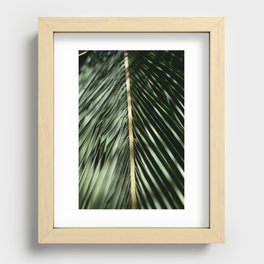 Tropical palm tree leaf Recessed Framed Print