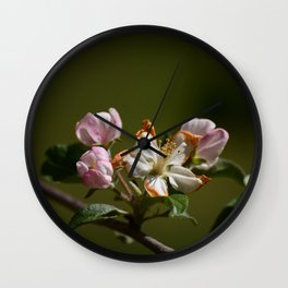 Wilting Apple Blossom Wall Clock