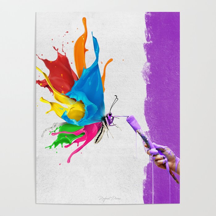 Colour Butterfly Poster