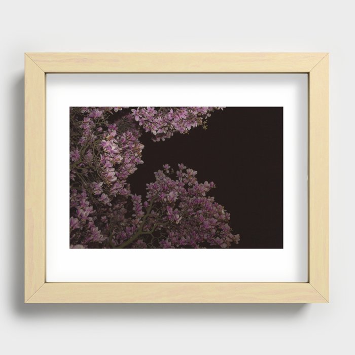 Night Vision - Magnolia skies Recessed Framed Print