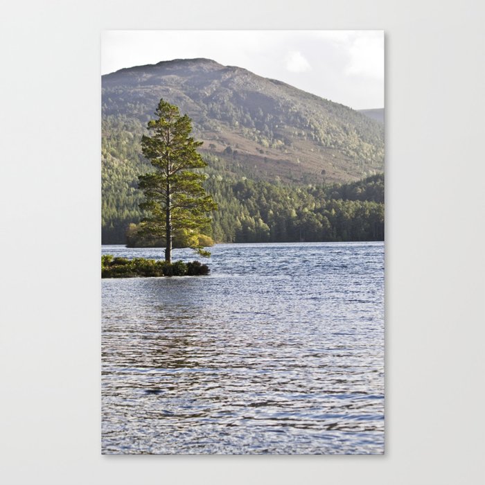 The Lonely Tree Canvas Print