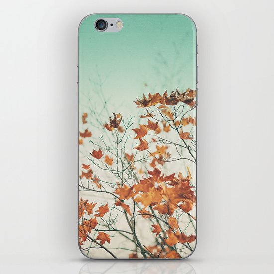 Falling Slowly iPhone & iPod Skin