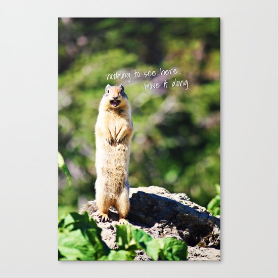 Angry Squirrel Has A Friend Canvas Print