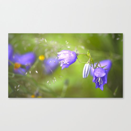 Bluebells in The Meadow Canvas Print