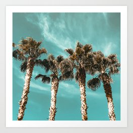 Tropical Palm Tree Photography {1 of 2} | Teal Blue Sky Wind Blown Clouds Art Print