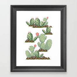 Prickly Pear Framed Art Print