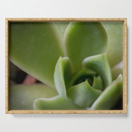 Green Cacti Leaf Serving Tray