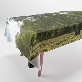 Scottish Highlands Spring Birch Trees Tablecloth