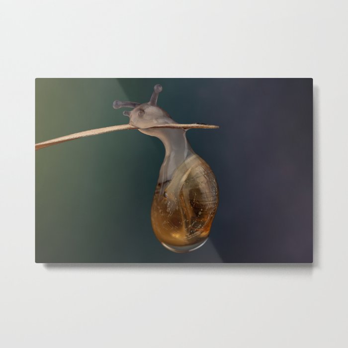 Newborn Metal Print