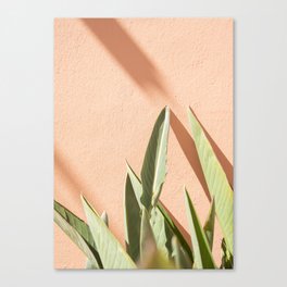 Plant Leaves on Pastel | Botanical Art Print in Cascais, Portugal | Travel Photography in Europe Canvas Print