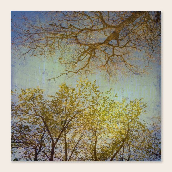 Above us Canvas Print