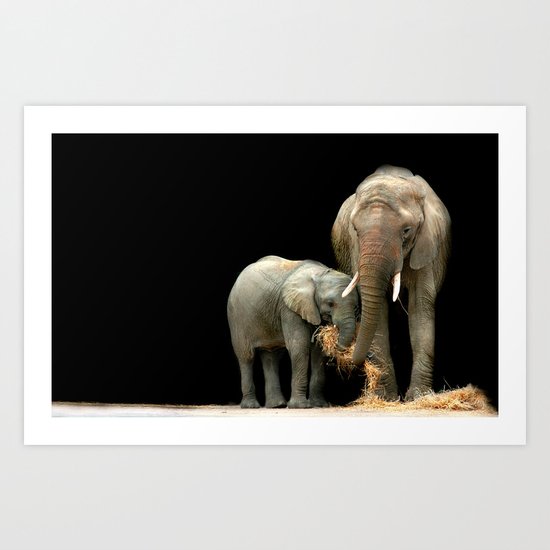 Feeding Time Art Print