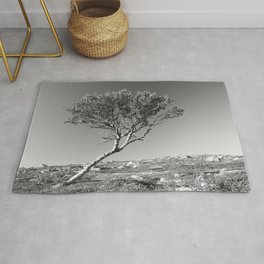 Lonely tree Rug