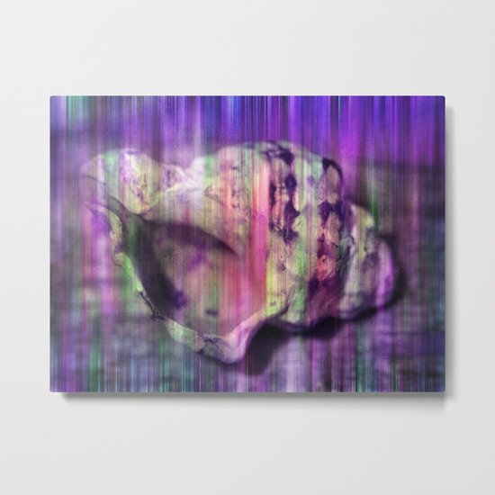 colorful shell Metal Print