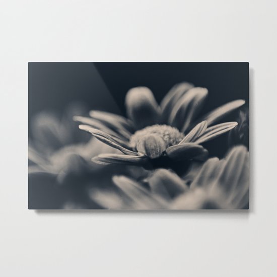 Out Of The Darkness Metal Print