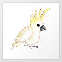 White Cockato Parrot Bird Illustration  Art Print