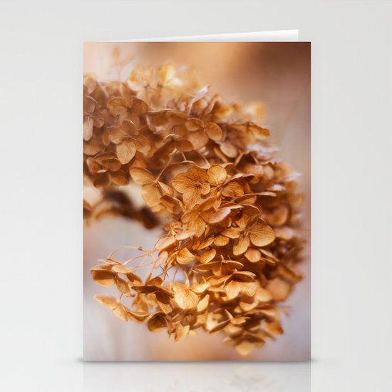 Winter Hydrangea Stationery Cards