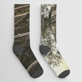 Tropical Forest Socks