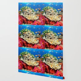 fish Wallpaper