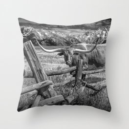 Texas Longhorn Steer by an Old Wooden Fence in Black and White Throw Pillow