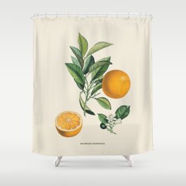 Orange Antique Botanical Illustration Shower Curtain