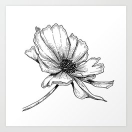 Cosmo - Floral Line Drawing Art Print