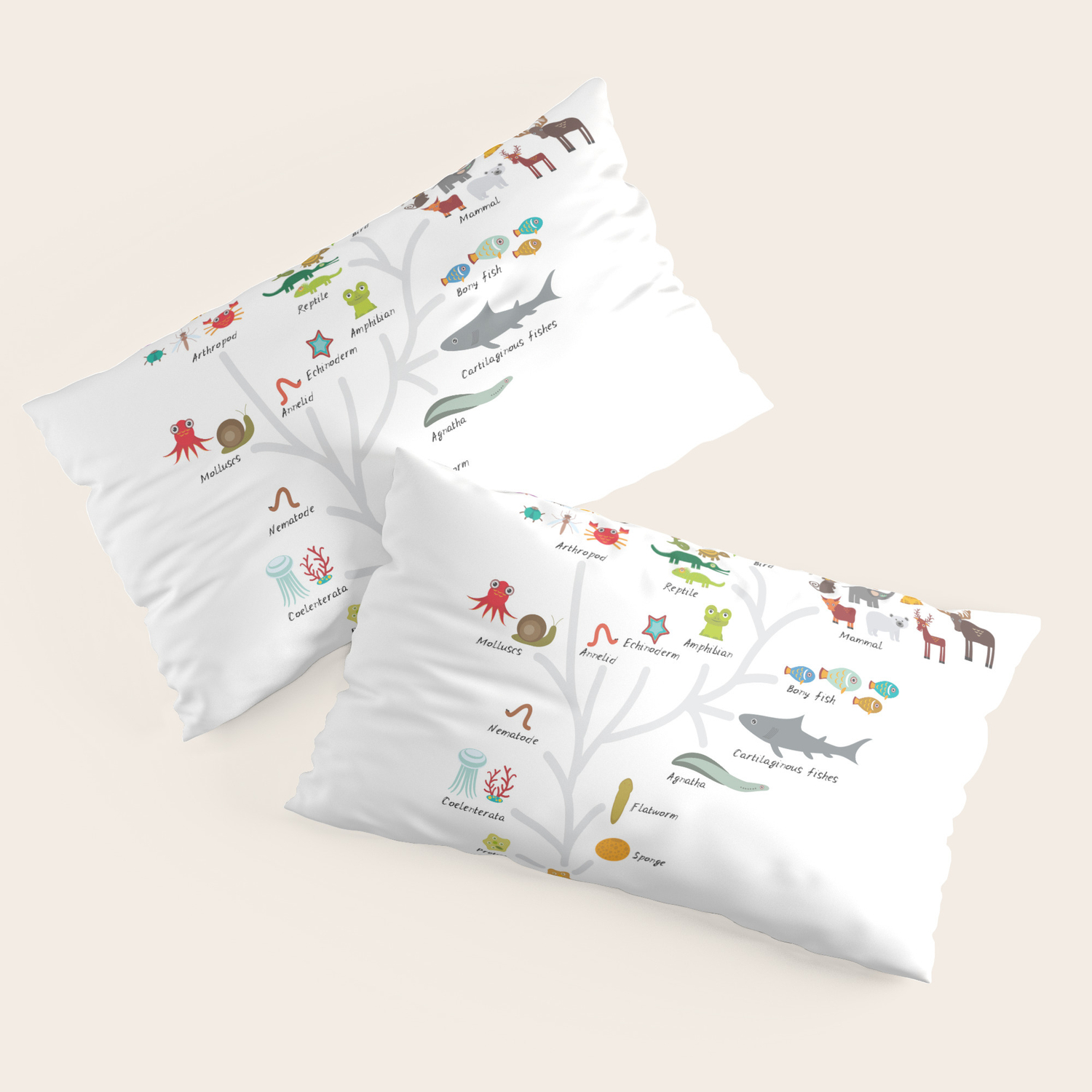 Evolution In Biology Scheme Evolution Of Animals On White Children S Education Back To Scool Pillow Sham By Ekaterinap Society6 Biology course is a study of genetics, cell biology, development, behavior and immunology, molecular biology. evolution in biology scheme evolution of animals on white children s education back to scool pillow sham by ekaterinap