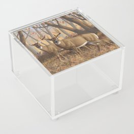 Whitetail Deer Trophy Buck and Doe in Autumn Acrylic Box