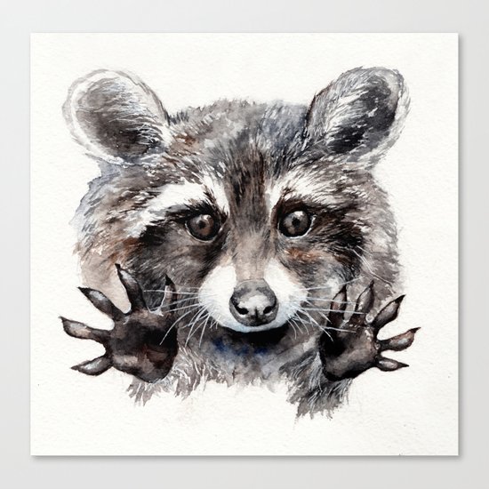 Magic! // Raccoon Canvas Print
