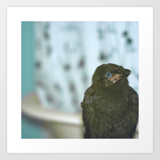 Bathroom Crow Art Print