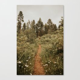 Wildflower Pathway to the Forest Canvas Print