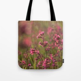 Pink flowers on a sunny field close-up | Nature Photography | Floral | Plant | Botanical Art Tote Bag
