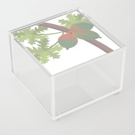 Majesty of the Papaya Tree Acrylic Box