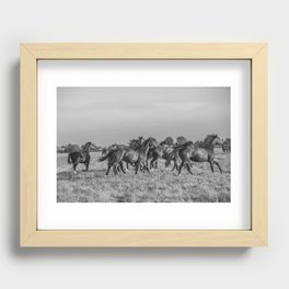 Wild horses running in the sun | Horse photography Netherlands | Nature travel black an white animal photo print Recessed Framed Print