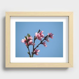 floral Recessed Framed Print