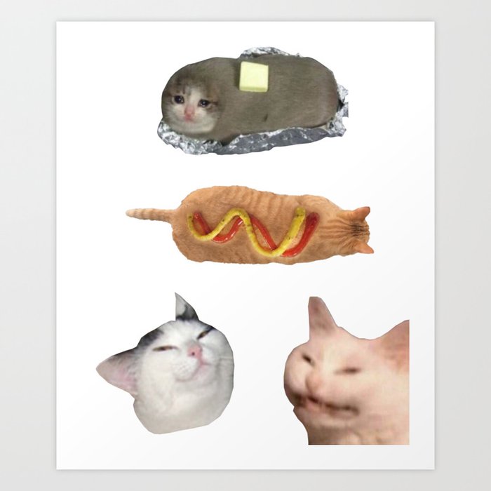 Dank Cat Memes Art Print By Mchhome Society6