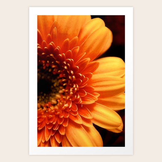 Natures Sun Art Print