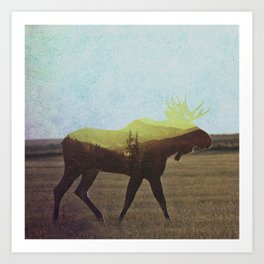 Moose Art Print