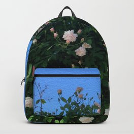It Was A Very Beautiful Day Backpack